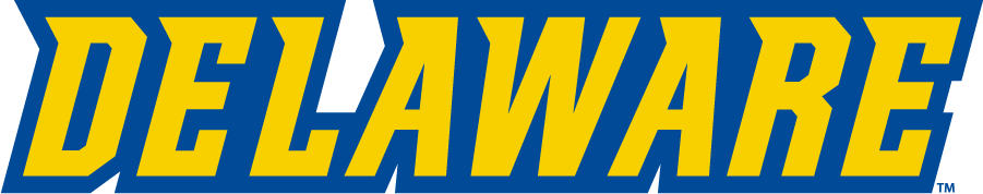 Delaware Blue Hens 2016-2018 Wordmark Logo iron on transfers for clothing